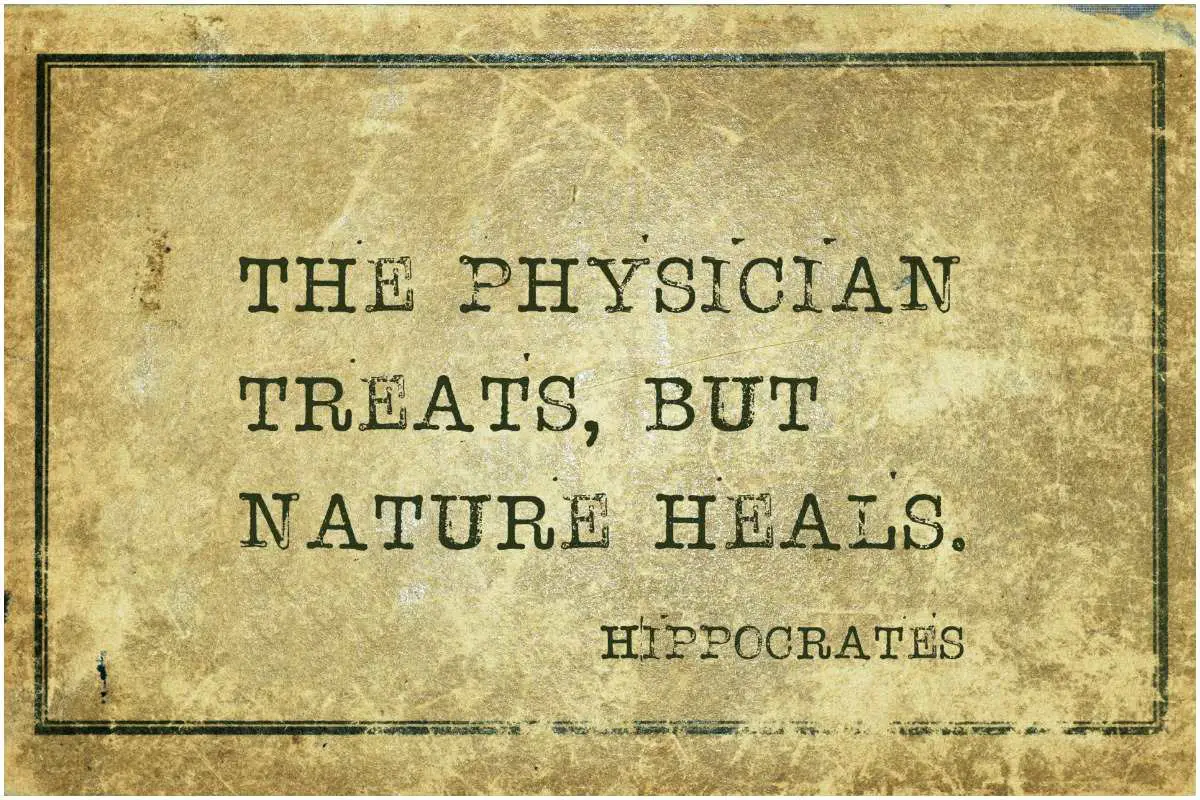 Greek physician Hippocrates quote