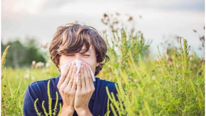 Spring Is Here, And Allergies Are On The Way