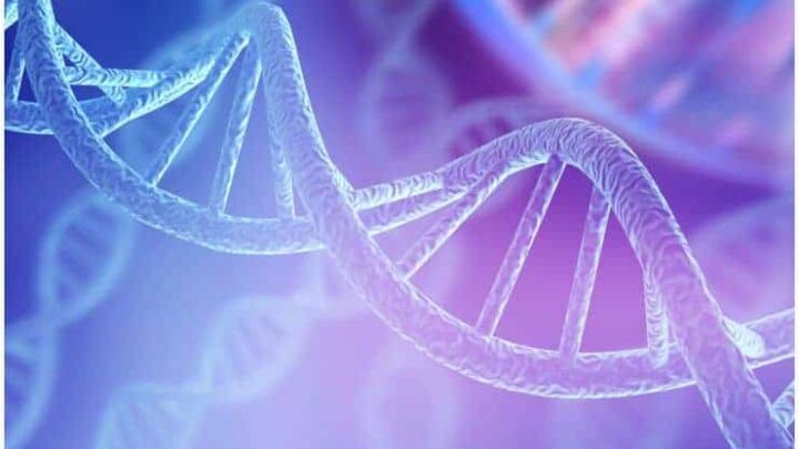 What is 12 Strand DNA Activation - Complete Guide