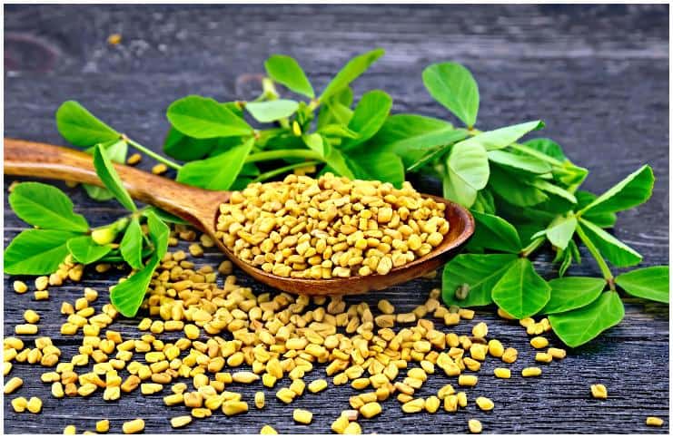 Fenugreek Seeds