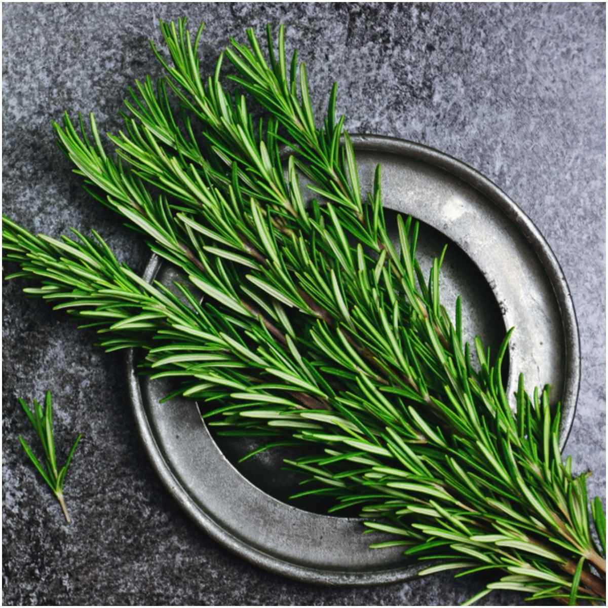 Rosemary