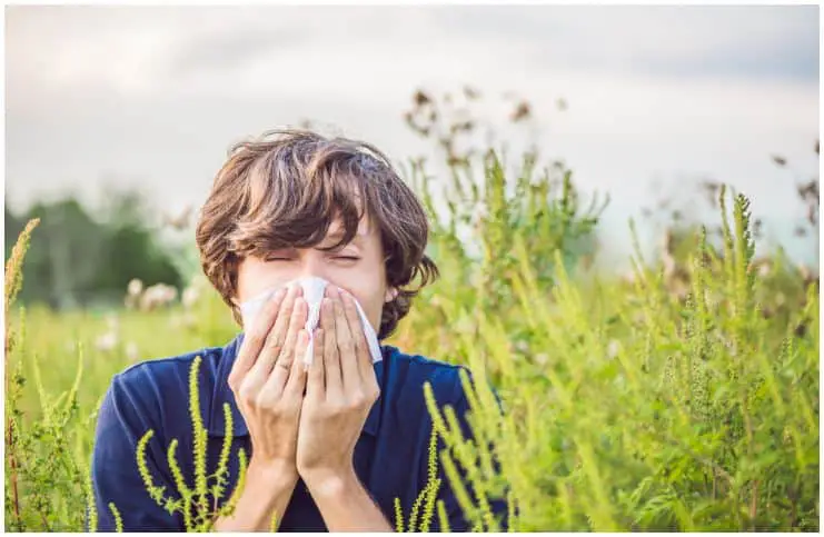 Spiritual Meaning of Allergies (general)