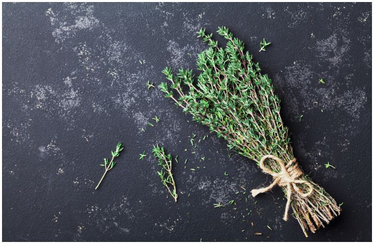 Thyme