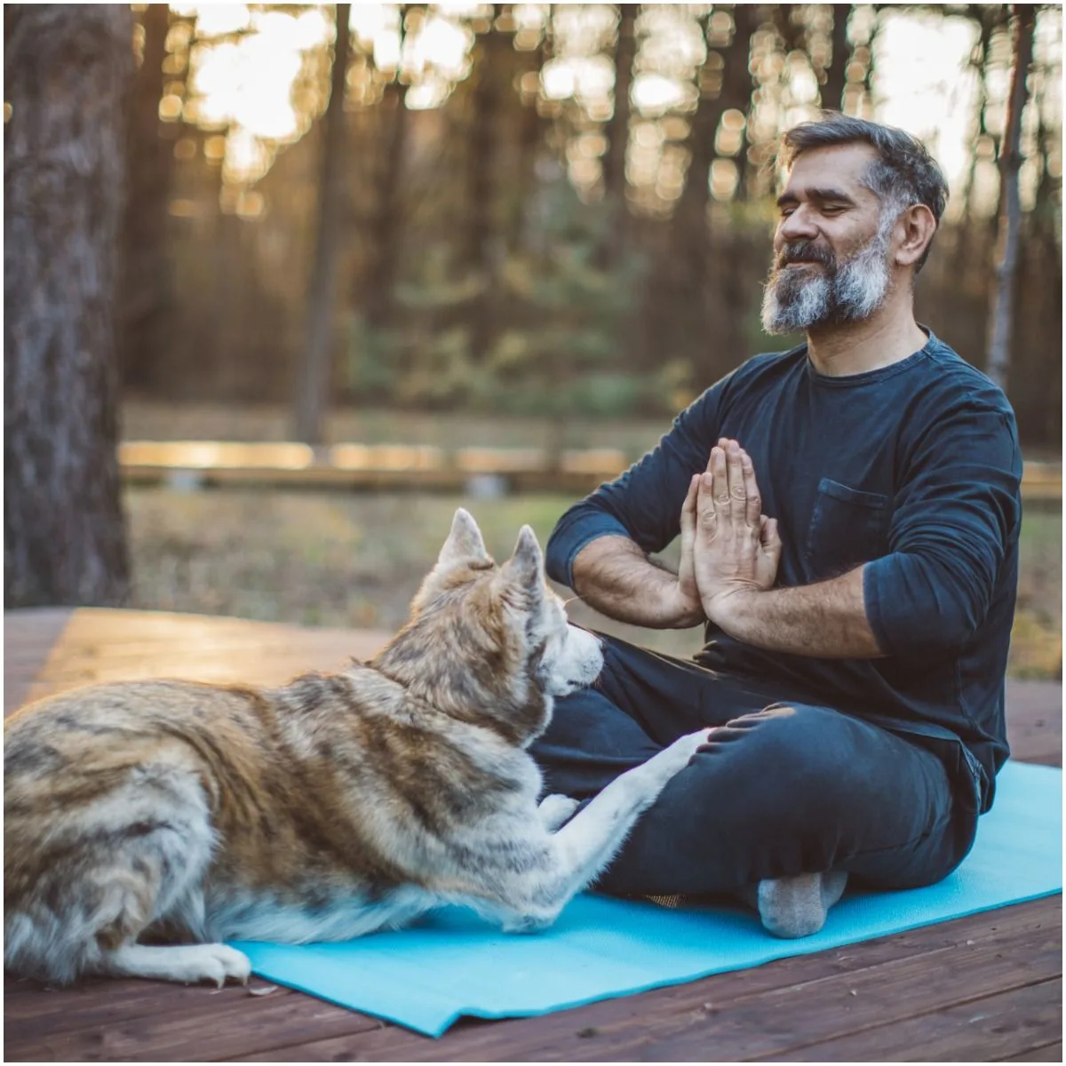 man meditation with a dog