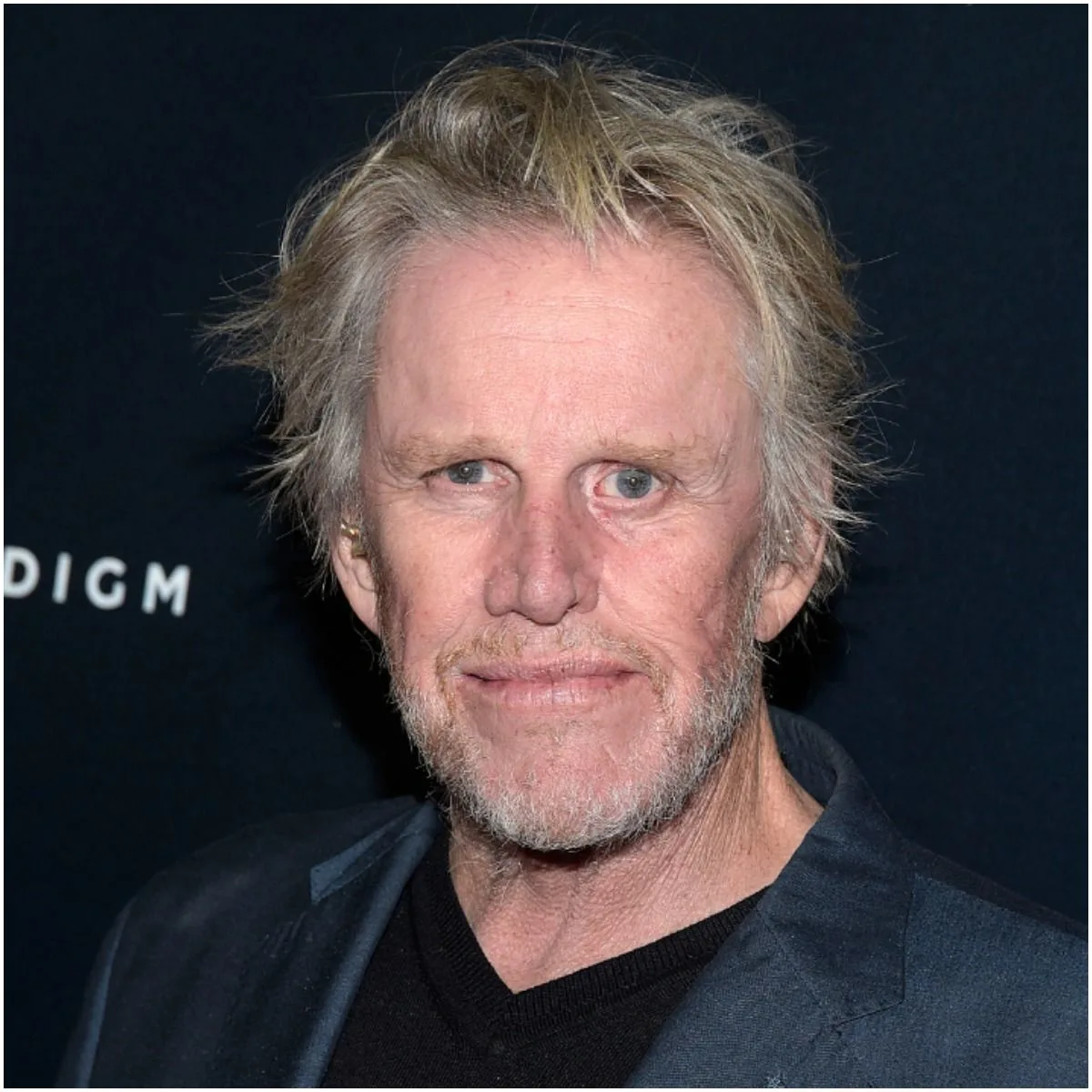 Gary Busey