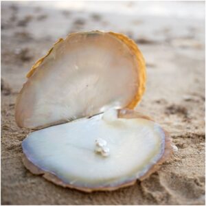 Spiritual Meaning of Pearls (White or Black) + Myths - Insight state