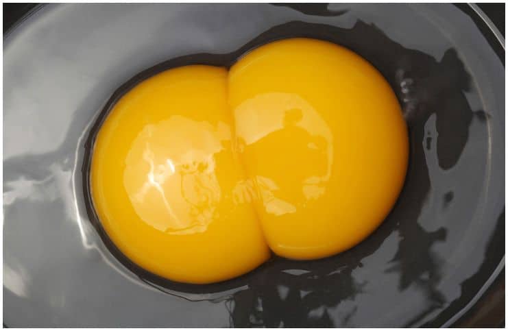 What is a double yolk egg