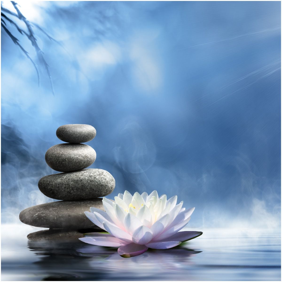 daily zen quotes