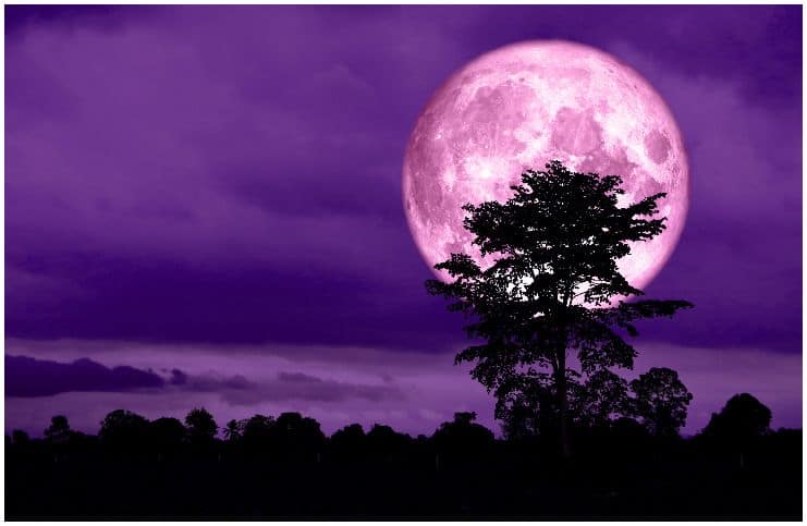 full pink moon