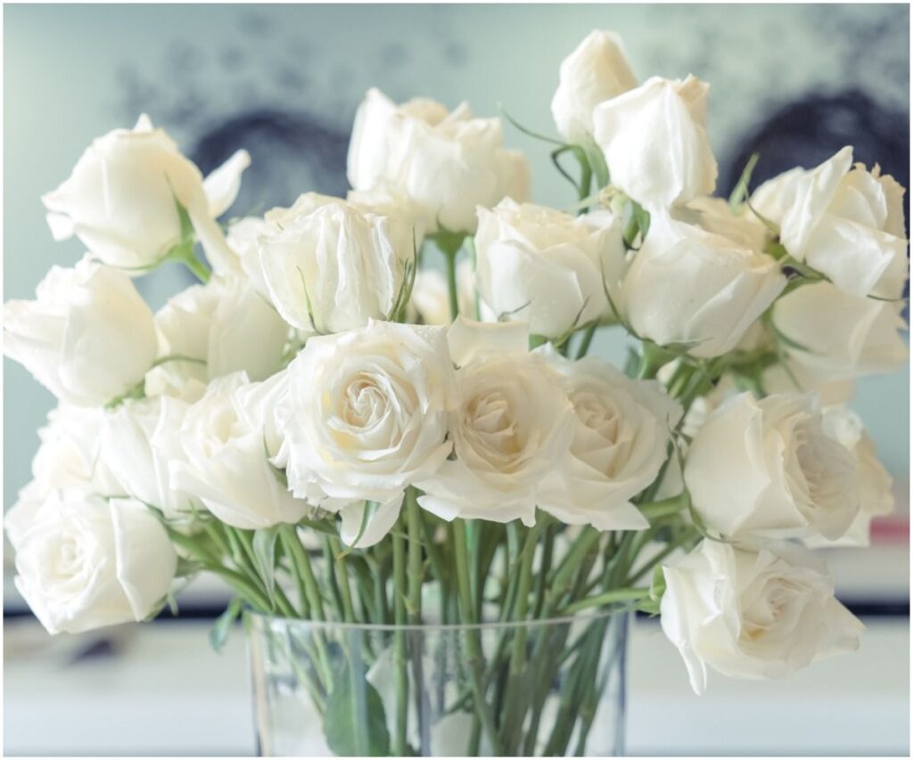 Spiritual Meaning of White Roses + Dream Interpretation Insight state