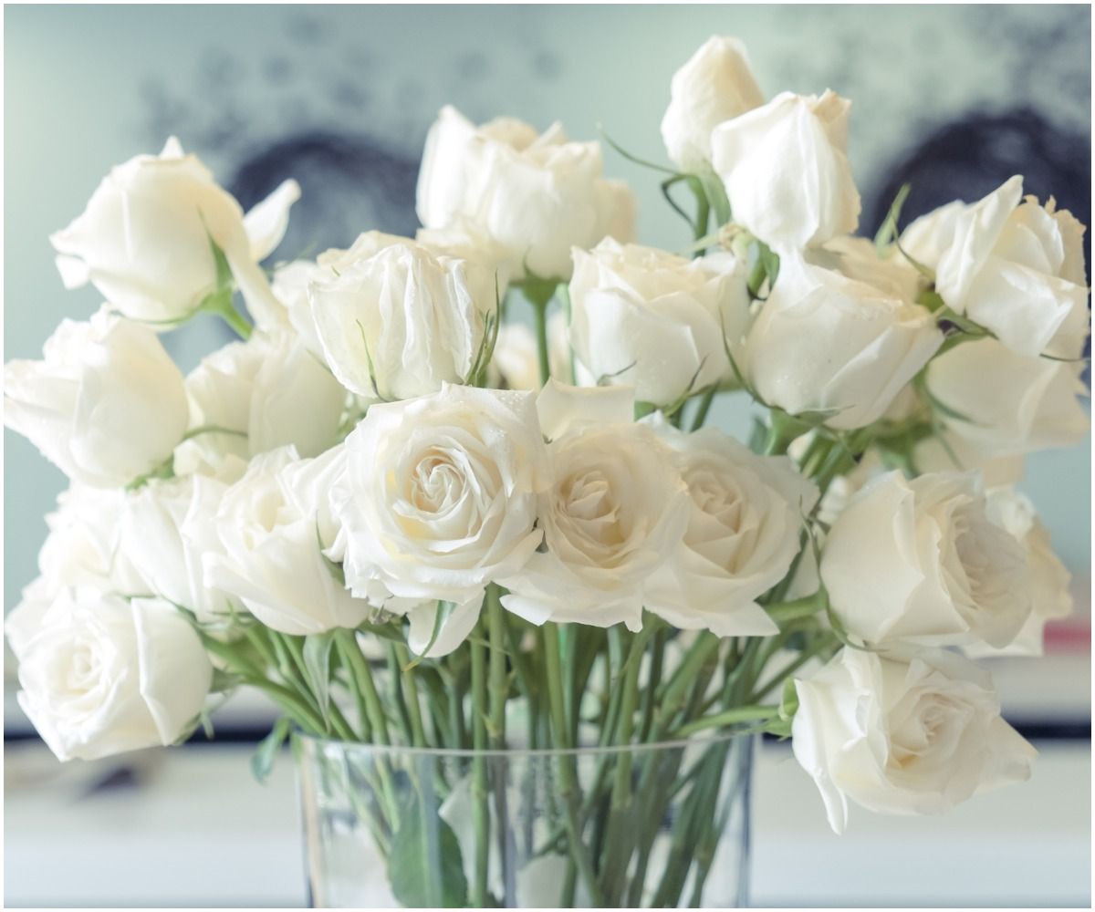 Spiritual Meaning of White Roses