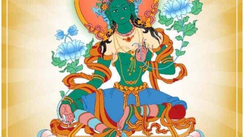 Om Tare Tuttare Ture Soha (Goddess Tara mantra)