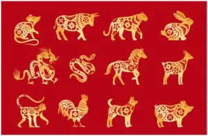 Chinese Zodiac – 12 Animal Signs With Their Meanings