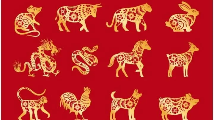 Chinese Zodiac - 12 Animal Signs With Their Meanings