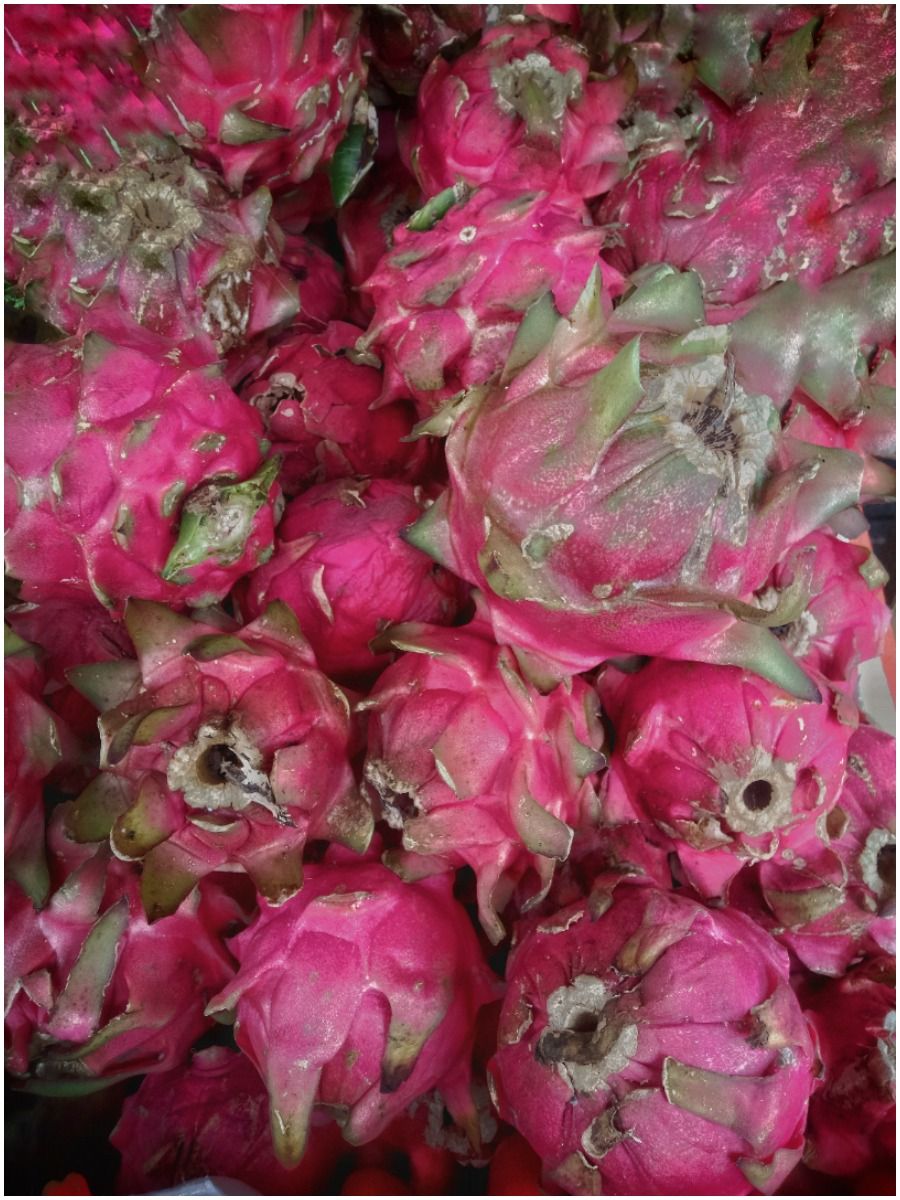 Red Dragon Fruit (Pitaya) Benefits for Skin & Bone Health + Side Effects