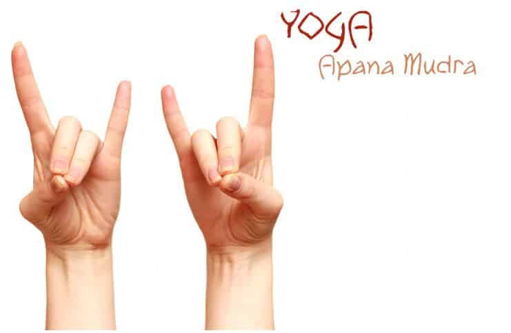 Apana mudra