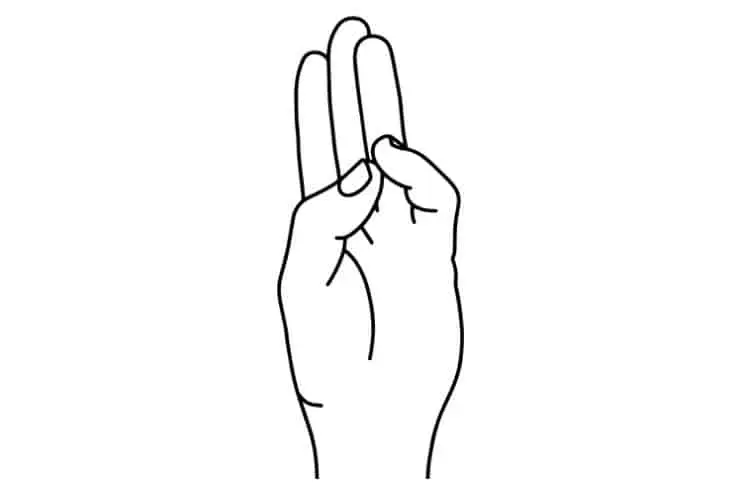 Buddhi Mudra - Seal Of Mental Clarity