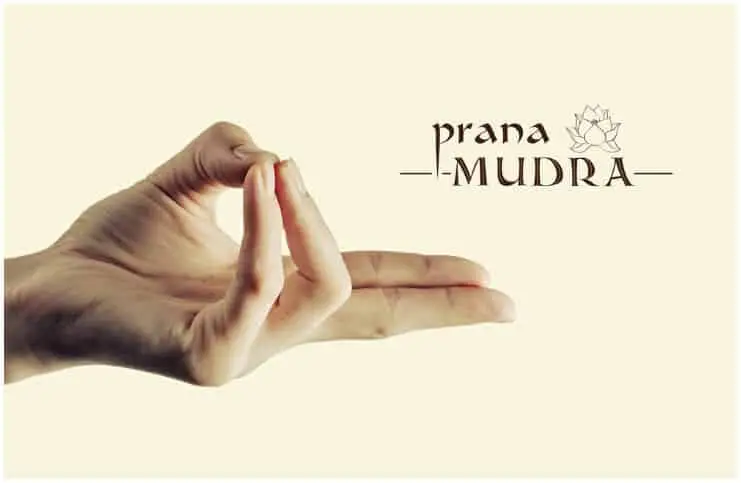 Prana mudra