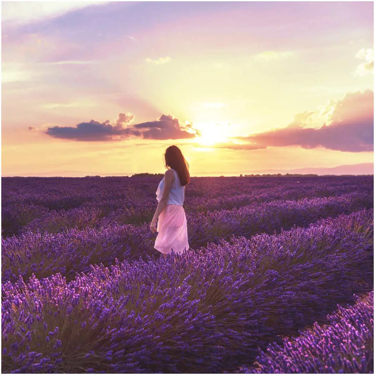 Lavender oil for meditation