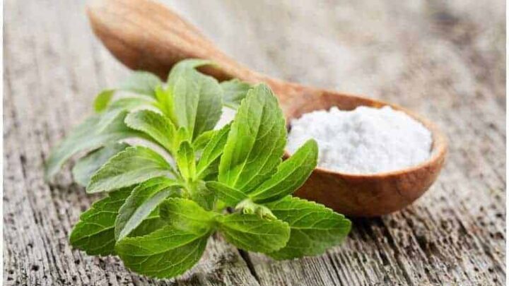 Side Effects of Stevia Consumption - A ”Natural Sweetener