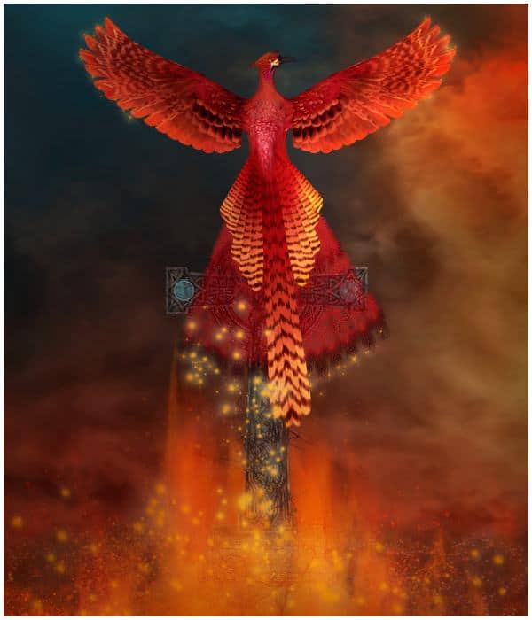 Spiritual Meaning of The Phoenix Bird + Legends & Myths - Insight state