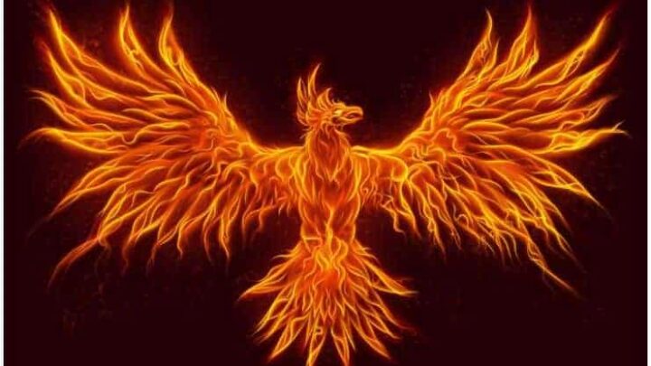 Spiritual Meaning of The Phoenix Bird + Legends & Myths