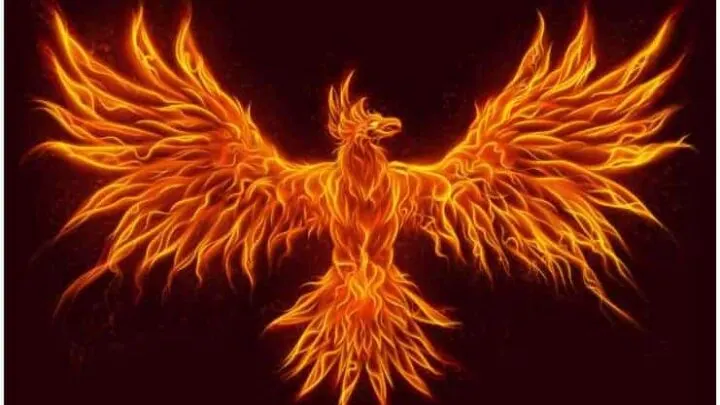 Spiritual Meaning of The Phoenix Bird + Legends & Myths