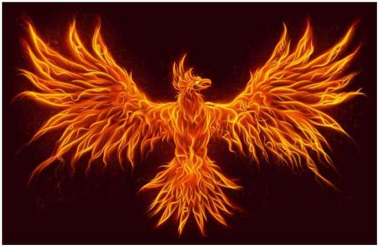 Spiritual Meaning of The Phoenix Bird + Legends & Myths - Insight state