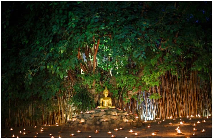 The Bodhi Tree symbol meaning