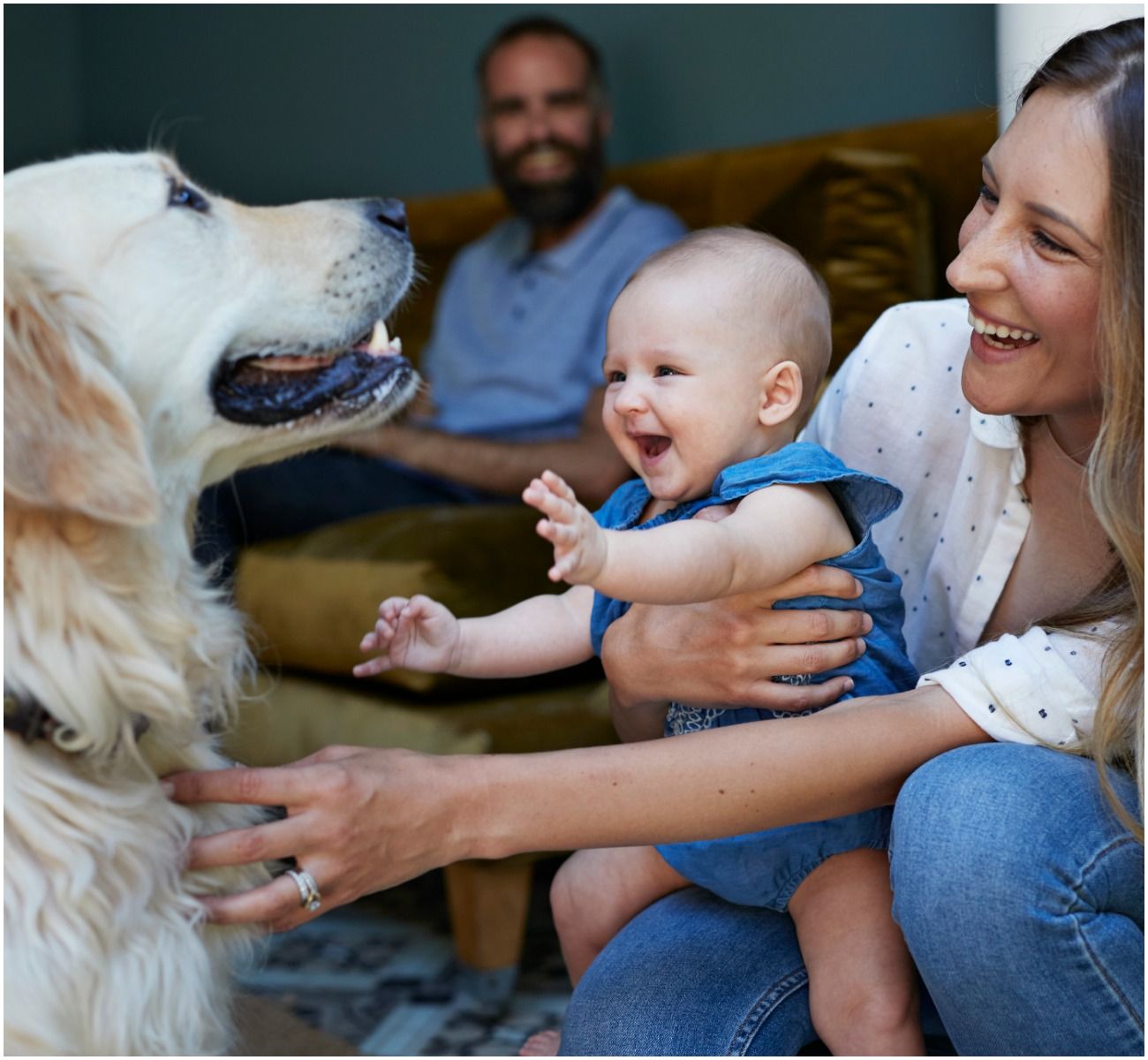 dog baby woman family