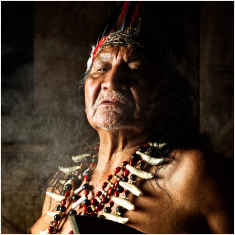 Can you a Shaman or are you chosen by the Spirits? Insight state