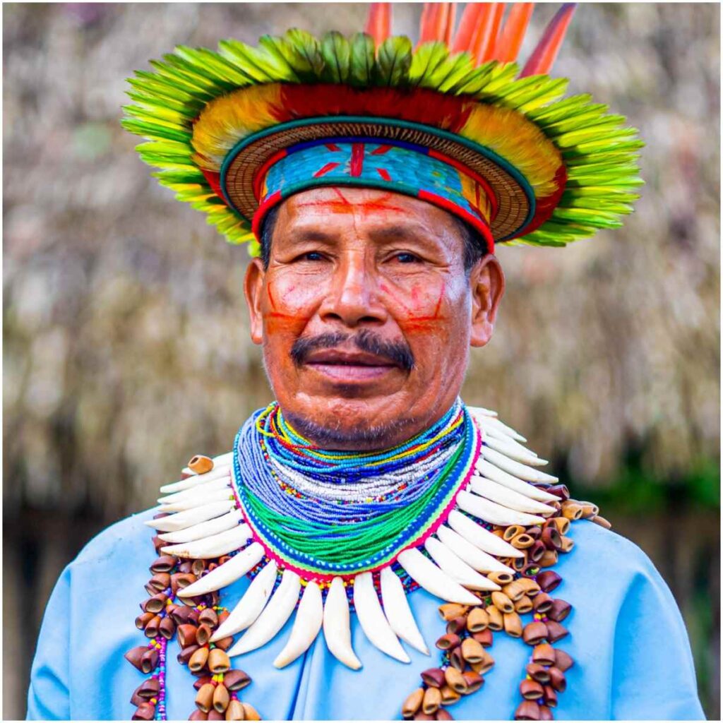 Can you a Shaman or are you chosen by the Spirits? Insight state