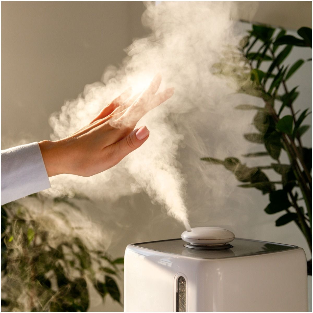 humidifier