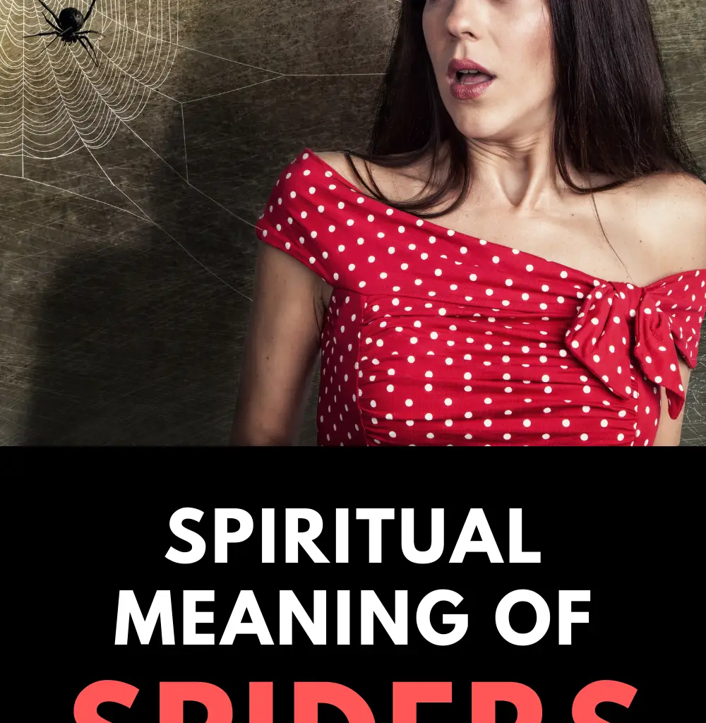 Spiritual meaning of spiders