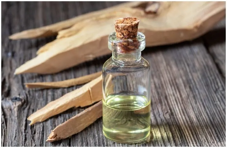 Sandalwood essential oil for protection