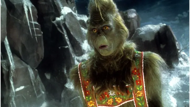 33 Quotes from How the Grinch Stole Christmas!