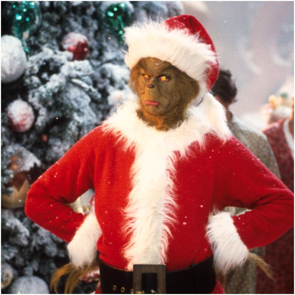 33 Quotes from How the Grinch Stole Christmas! Insight state