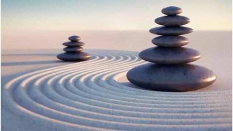 40 Quotes About Stillness - Insight state