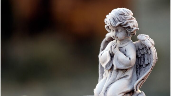 727, 747, 756, 818, 828, 909, 911, 919, 929, 939, 949 – Spiritual Meaning