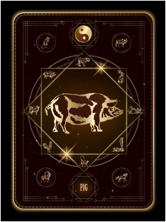 Chinese Zodiac 12 Animal Signs With Their Meanings Insight state