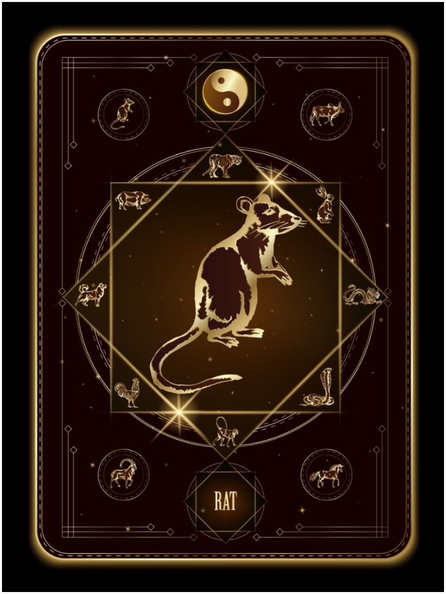 Rat Chinese zodiac meaning facts