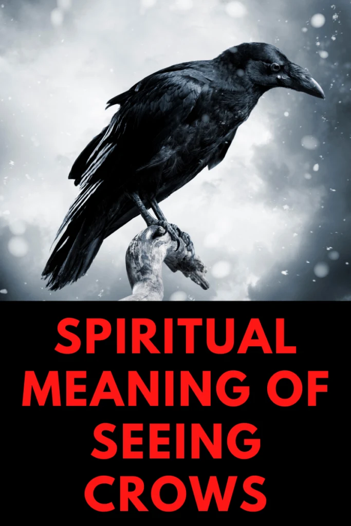 Spiritual Meaning of Seeing Crows