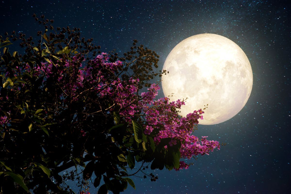 Spiritual Meaning of the Hunter’s Moon Insight state