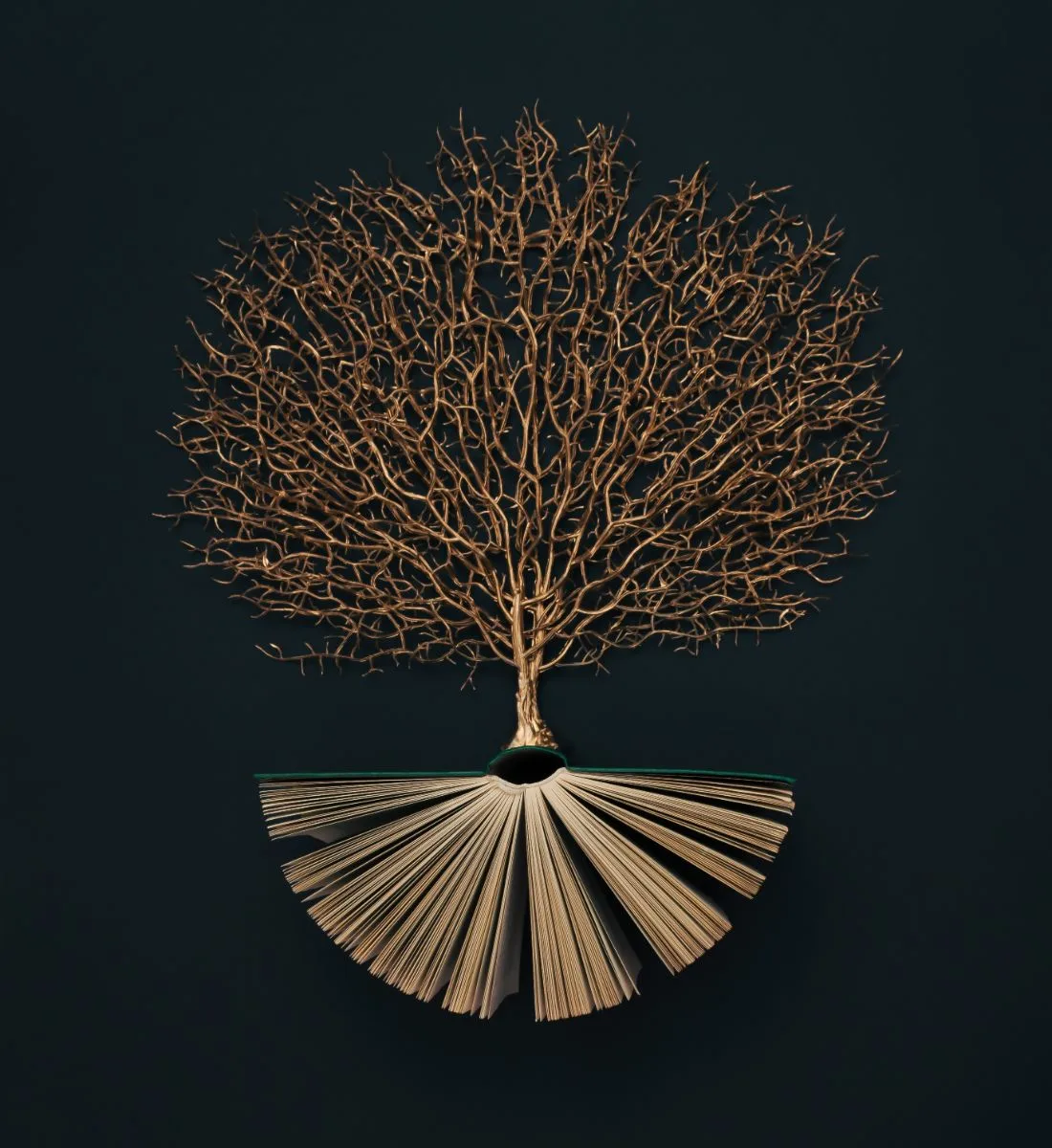 tree of life spiritual meaning