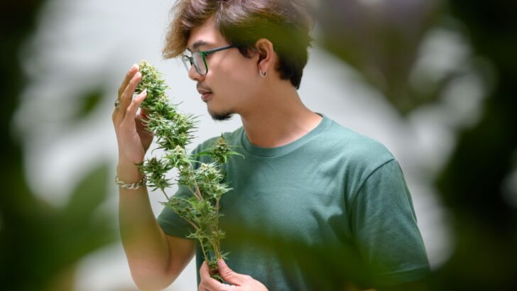 5 Ways to Enjoy the Benefits of Cannabis