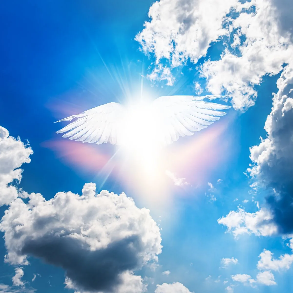 how do you know if you re an angel