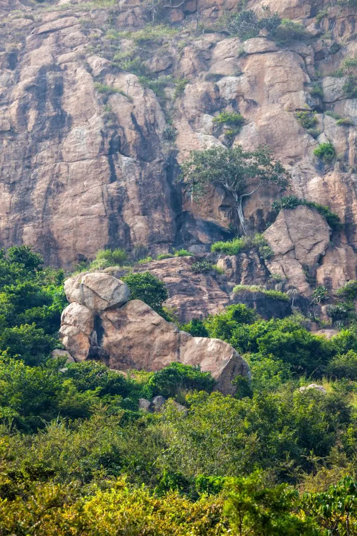 Mount Arunachala, India