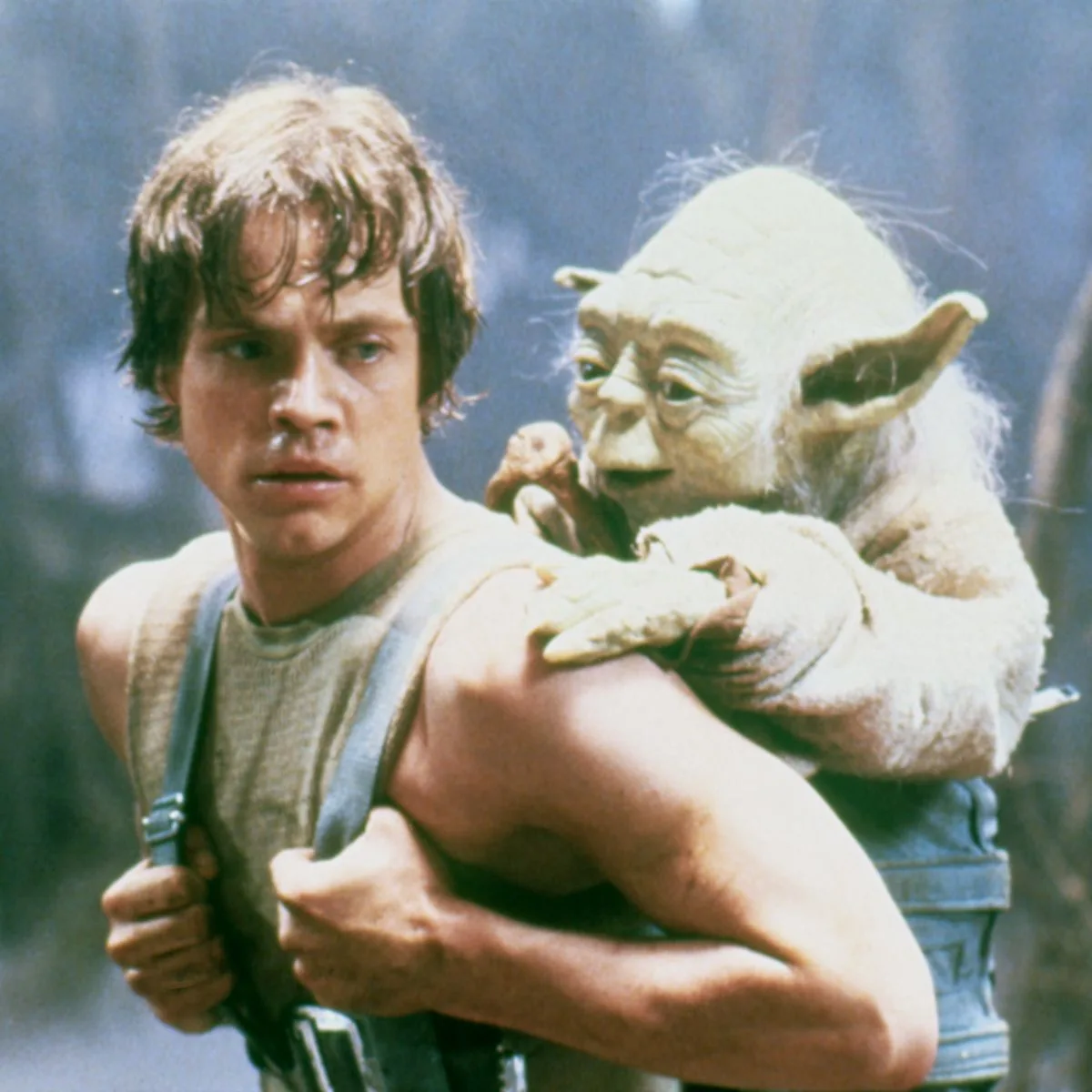 Wise Yoda Quotes