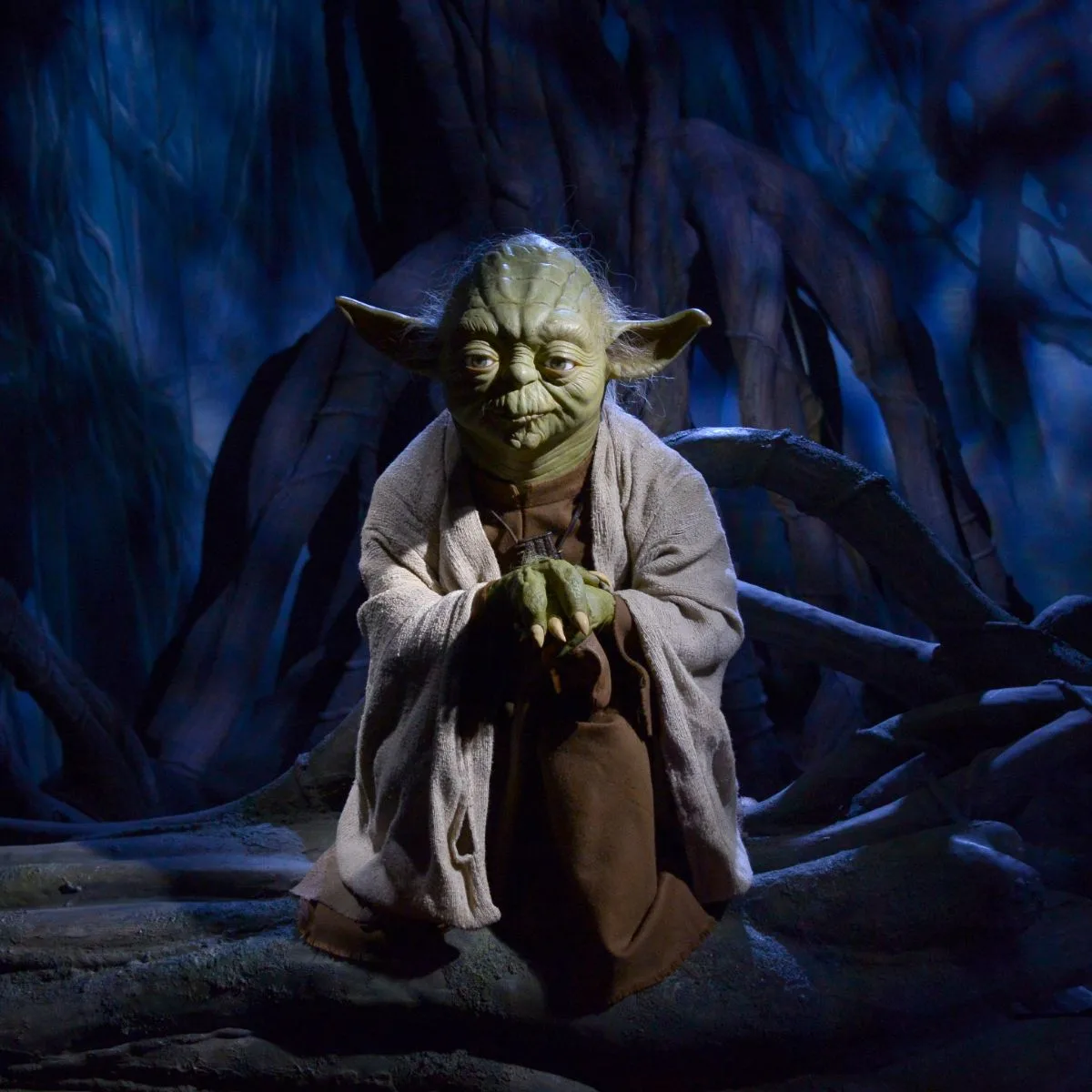 Yoda quotes about patience