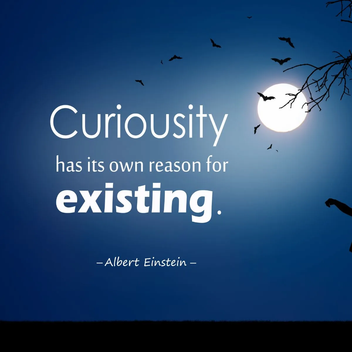 funny albert einstein quotes